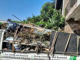 Professional Junk Removal Services in Brookings, SD